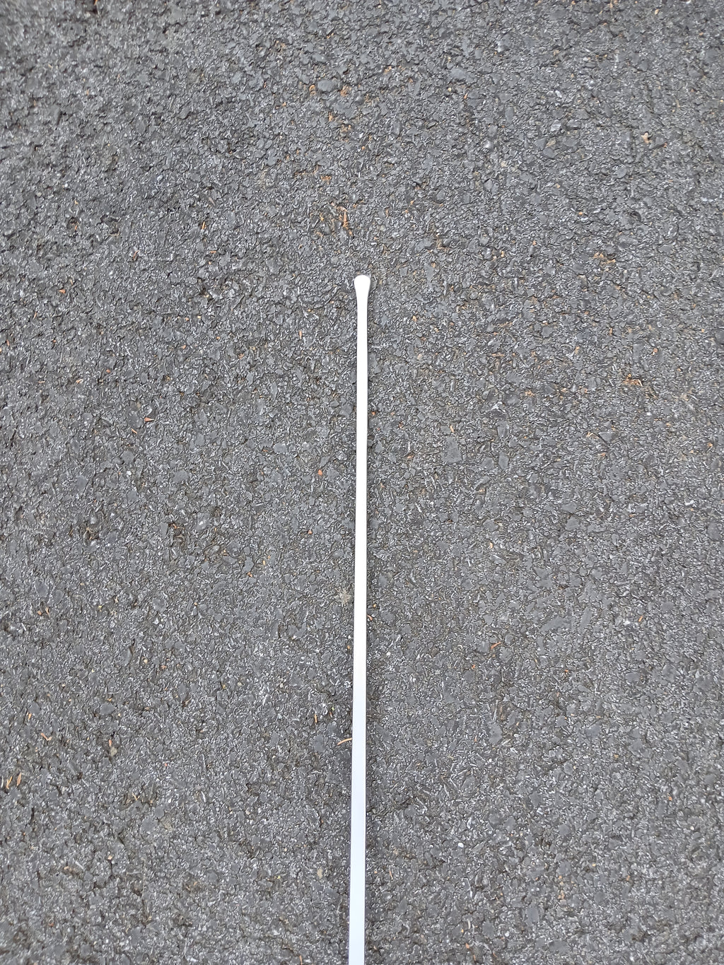 Beginner Rapier - Swordier