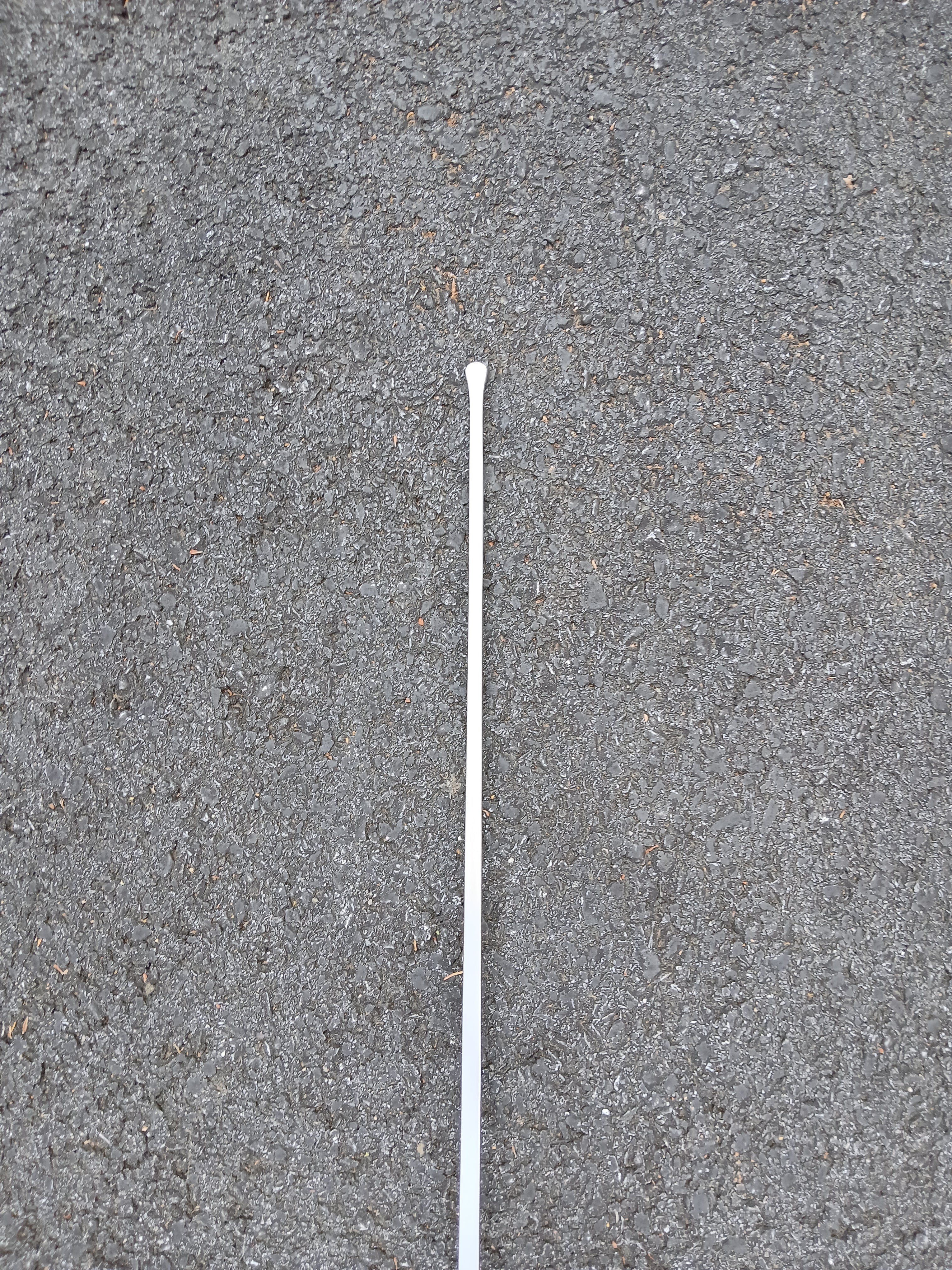 Beginner Rapier - Swordier