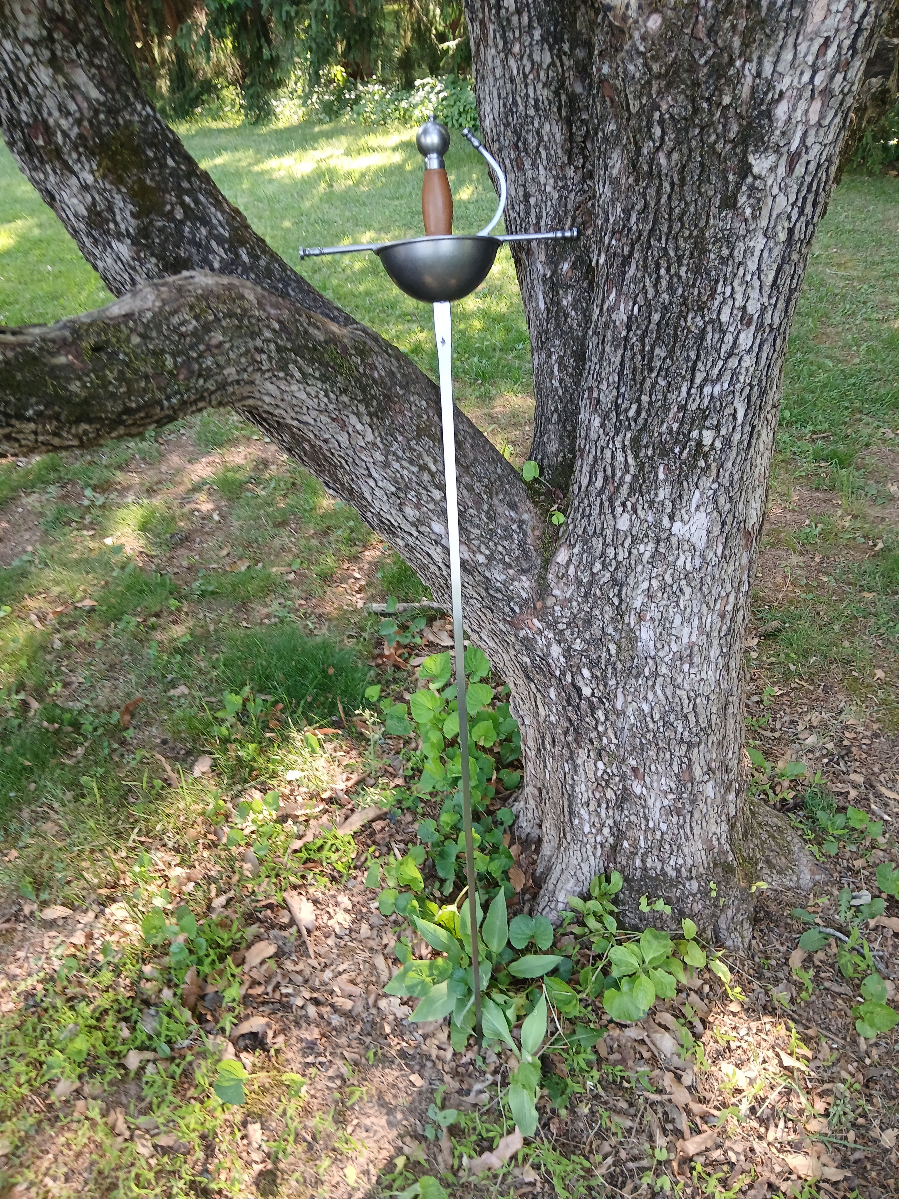 Beginner Rapier - Swordier
