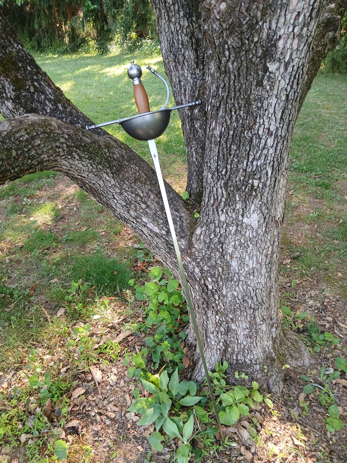 Beginner Rapier - Swordier